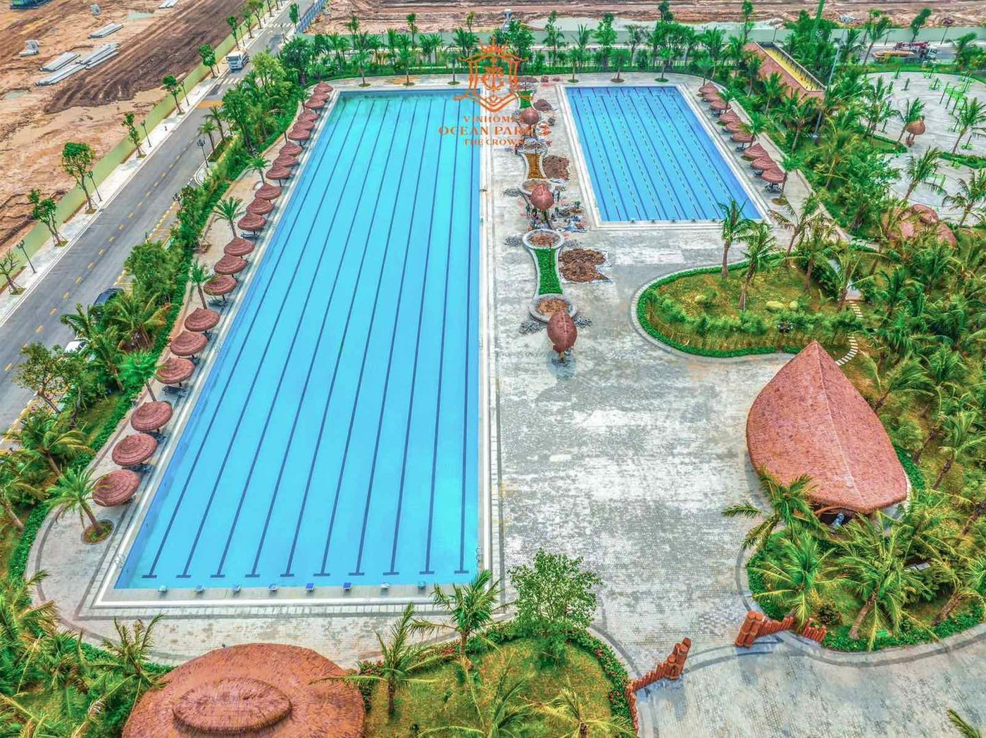 be boi olympic 1.jpg